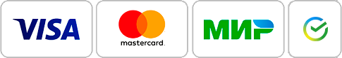 https://astra.team/data/images/astranano/paylogoss.png